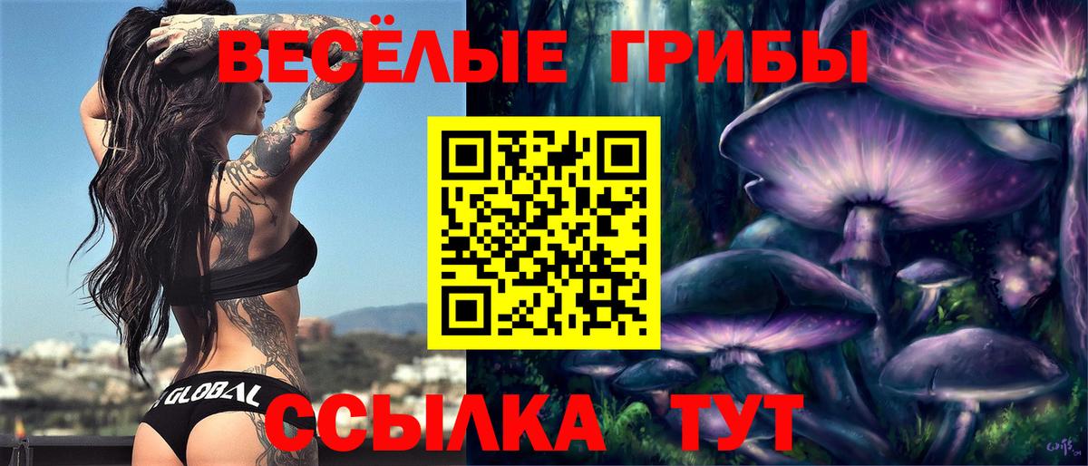 Камень-на-Оби  где продают   Галлюциногенные грибы GOLDEN TEACHER  Вход с VPN  Галлюциногенные грибы Cubensis 