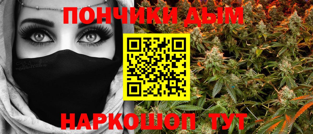 Бошки Шишки план Камень-на-Оби